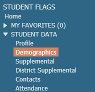 Student Demographics